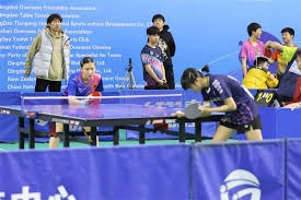 芝加哥小熊在 2024 年底宣布将与其主场的常春藤墙进行特殊的生态保护项目